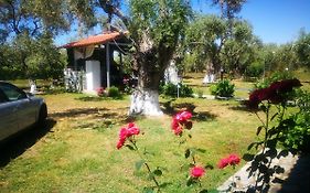 Cristi Apartments