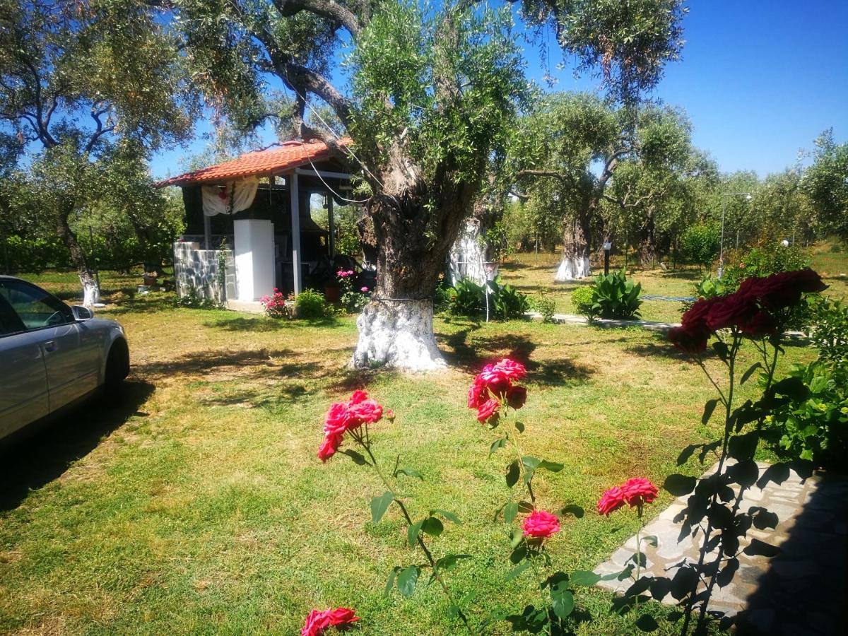 Cristi Apartments Σκάλα Ραχωνίου Εξωτερικό φωτογραφία