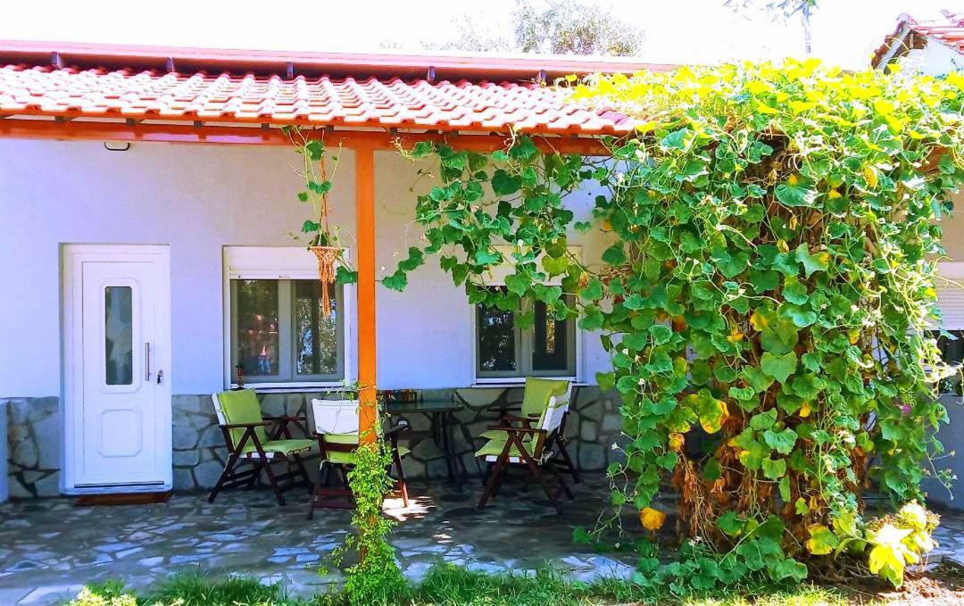 Cristi Apartments Σκάλα Ραχωνίου Εξωτερικό φωτογραφία